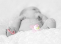 16 Babies 2011